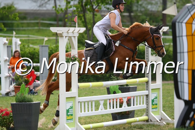 105M1162_Da Cota_Stil_A.JPG